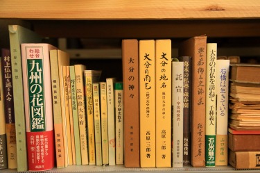 取り扱いが得意なもの